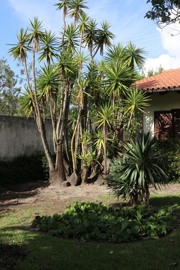 A Quinta Duna Salir de Porto Extérieur photo